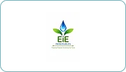 Logo 31
